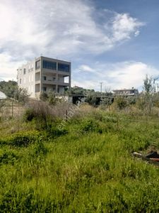 Arsa-Konut İmarlı