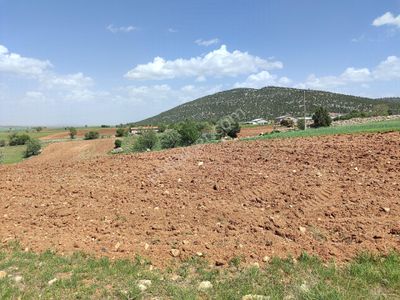 Arsa-Tarla