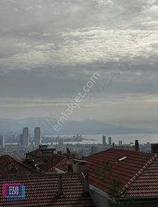 Konut-Daire