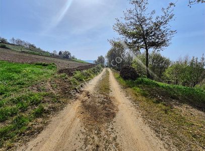 Arsa-Tarla