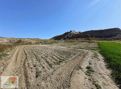 Arsa-Tarla