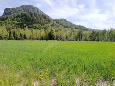 Arsa-Tarla