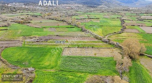 Arsa-Tarla