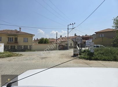 Arsa-Zeytinlik