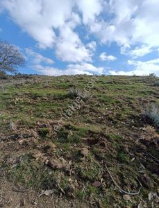 Arsa-Tarla