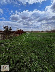 Arsa-Konut İmarlı