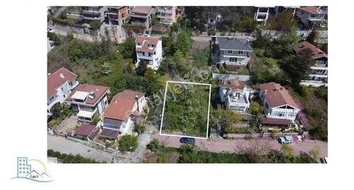 Arsa-Konut İmarlı