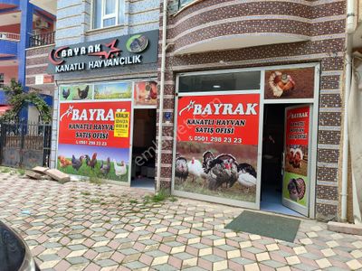 İşyeri-Dükkan & Mağaza