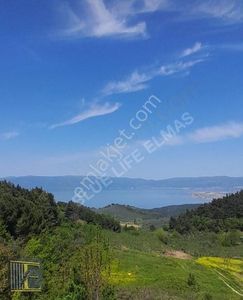 Arsa-Konut İmarlı