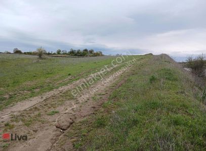 Arsa-Tarla