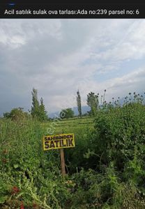 Arsa-Tarla