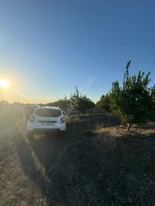 Arsa-Tarla