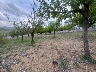 Arsa-Konut İmarlı