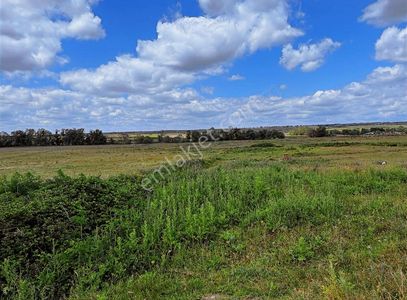 Arsa-Tarla
