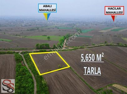Arsa-Tarla