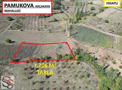 Arsa-Tarla