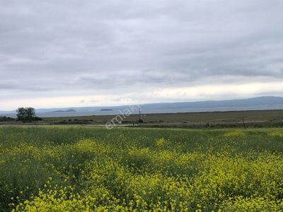 Arsa-Tarla