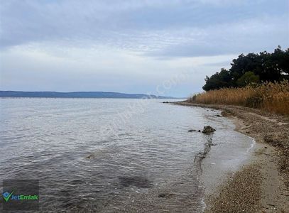Arsa-Tarla