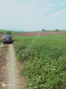 Arsa-Tarla