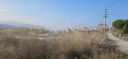 Arsa-Konut İmarlı