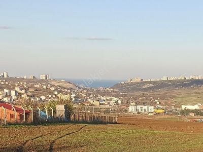 Arsa-Konut İmarlı