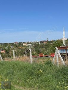Arsa-Bağ & Bahçe