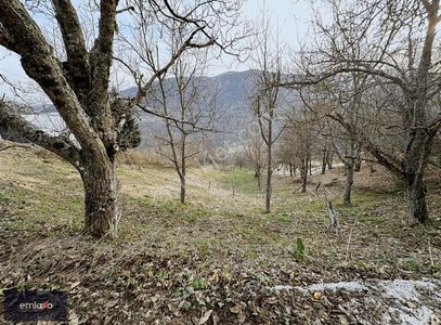 Arsa-Konut İmarlı