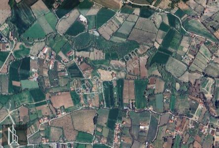 Arsa-Tarla