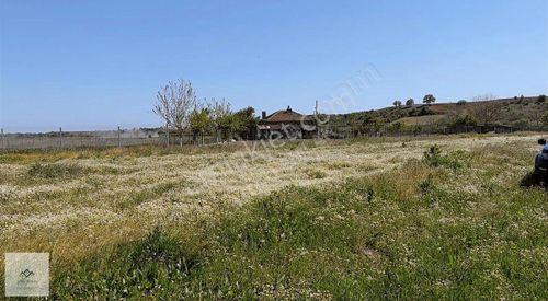 Arsa-Konut İmarlı