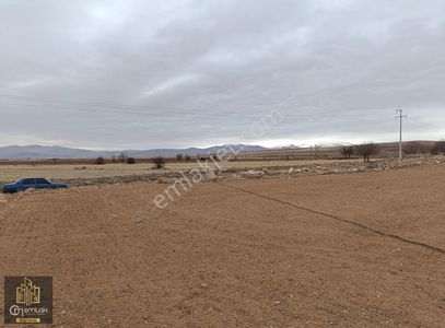 Arsa-Tarla