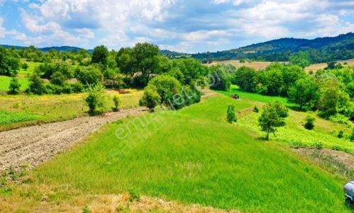 Arsa-Tarla