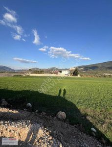 Arsa-Bağ & Bahçe