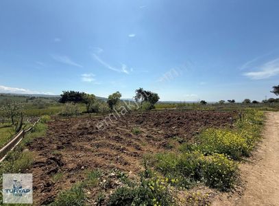 Arsa-Bağ & Bahçe