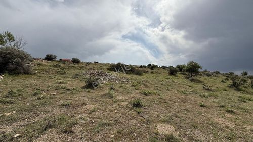 Arsa-Bağ & Bahçe