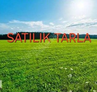 Arsa-Tarla