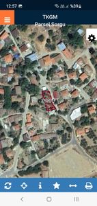 Arsa-Zeytinlik