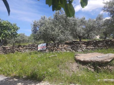 Arsa-Konut İmarlı
