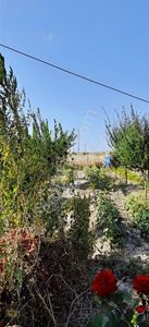 Arsa-Bağ & Bahçe