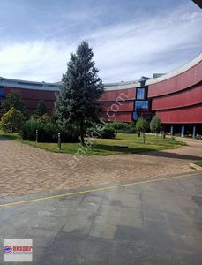 İşyeri-Ofis
