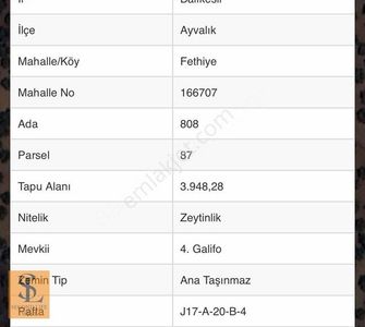 Arsa-Zeytinlik