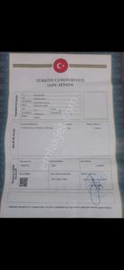 Arsa-Zeytinlik