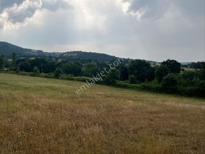 Arsa-Tarla