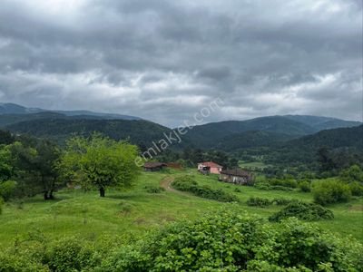 Arsa-Tarla