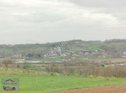 Arsa-Tarla