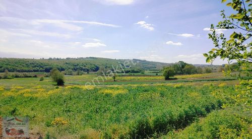 Arsa-Tarla