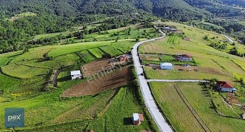 Arsa-Tarla