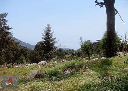 Arsa-Konut İmarlı