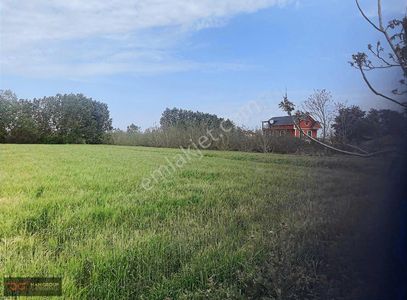 Arsa-Tarla