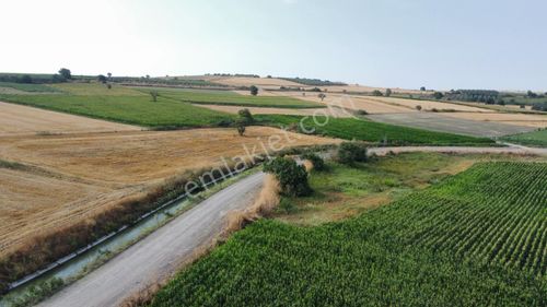 Arsa-Tarla