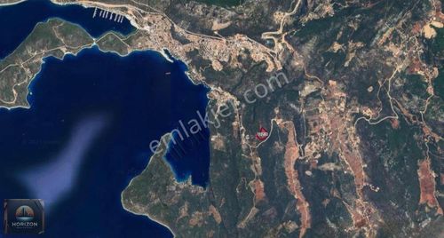 Arsa-Zeytinlik